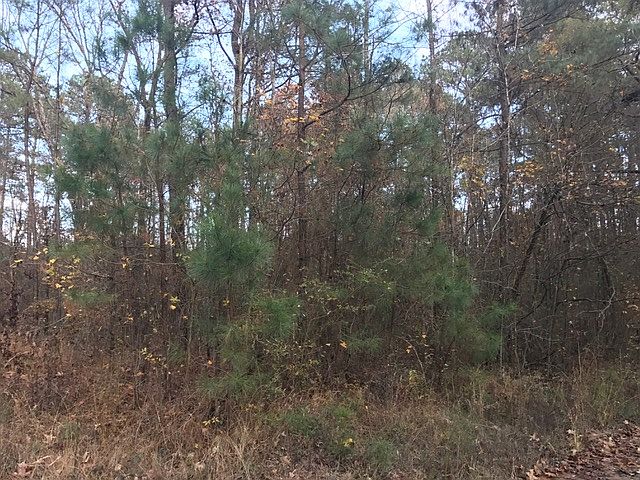 1st image of 232 Martha Ln