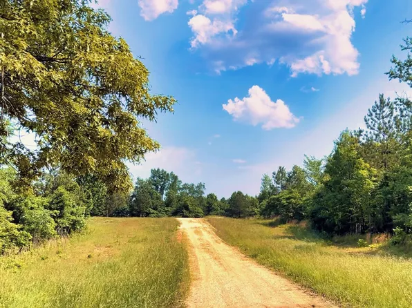 0 Freedom Rdg Lot 38, Indian Mound, TN 37079