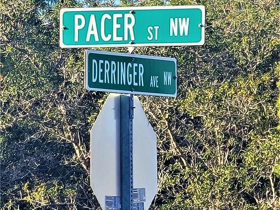 4th image of 219 Pacer St NW