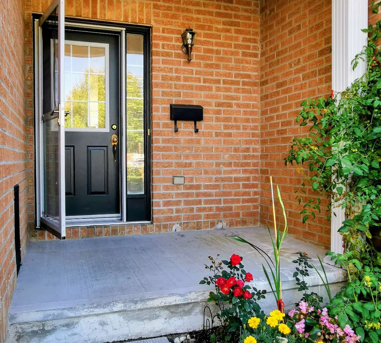 3 bed, $2,550 — Photo 2