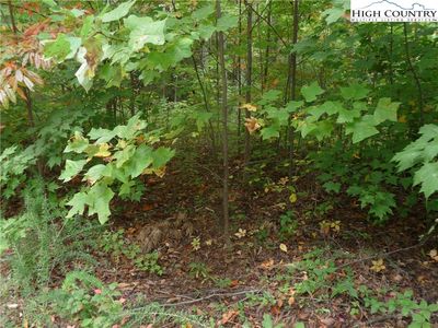 144 Galax Drive, Black Mountain, NC, 28711