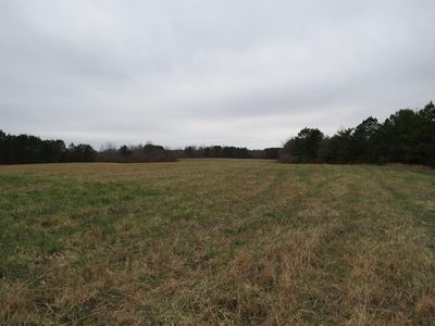 2463 Highway 237, Phil Campbell, AL, 35581