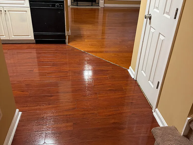1161 Primrose View Cir — Photo 8