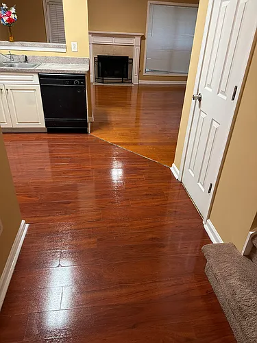 1161 Primrose View Cir Photo 1