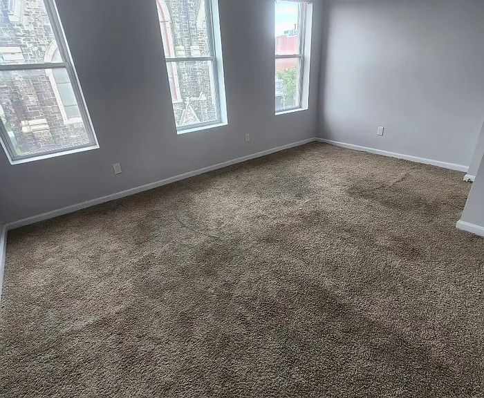 1222 Druid Hill Ave #3 — Photo 6