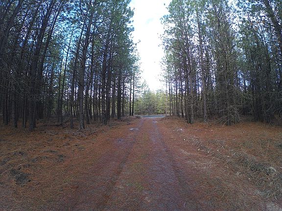 Driveway to road