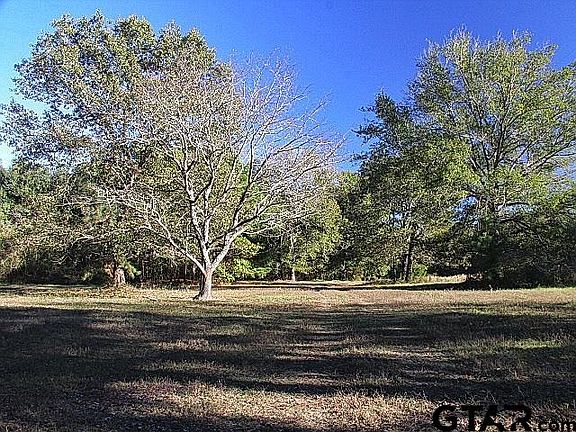 5th image of 21855 County Road 3211