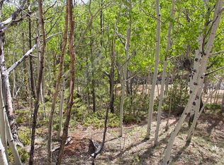 1377 Golden Cycle Cir, Cripple Creek, CO 80813