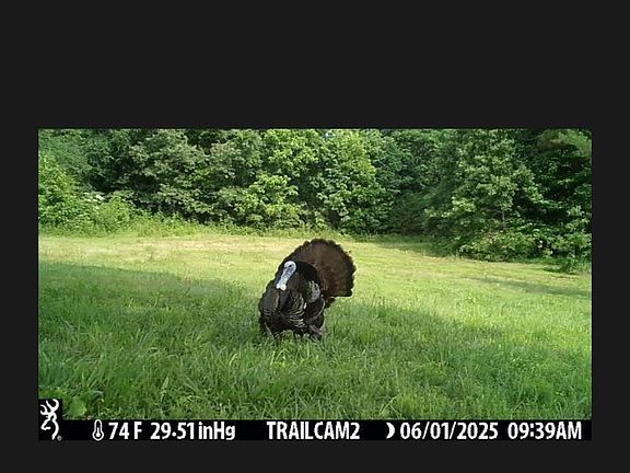 2nd image of 700 N Reid Hooker Rd