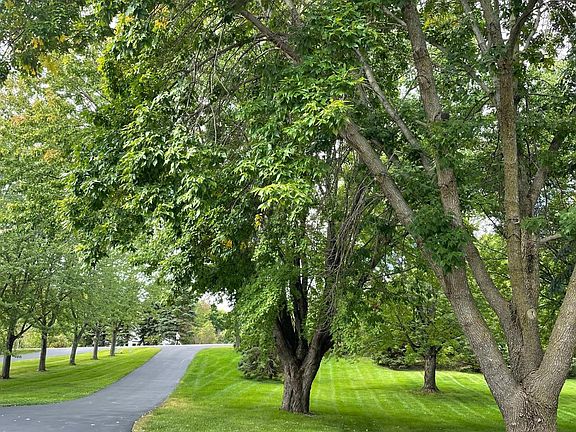 6681 Galpin Blvd Excelsior Mn 55331 Mls 6105124 Zillow