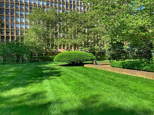 Rented by Corcoran | media 7