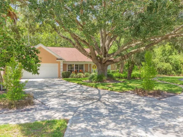 9701 Cypress Pond Ave, Tampa, FL 33647