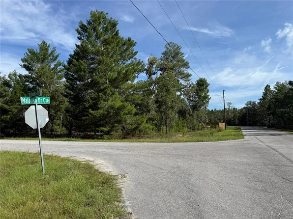 Malauka Trl Lot 1, Ocklawaha, FL 32179