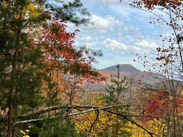 LOT 79 W Long Rifle Rd, Walland, TN 37886