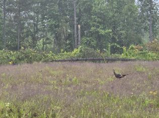 W Robbins Rd, Robbins, TN 37852