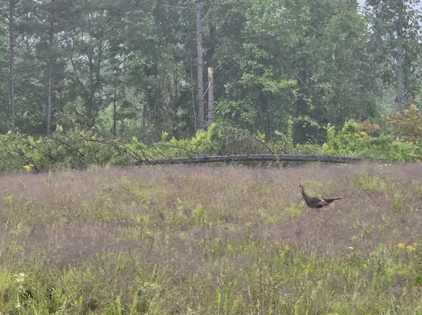 W Robbins Rd, Robbins, TN 37852