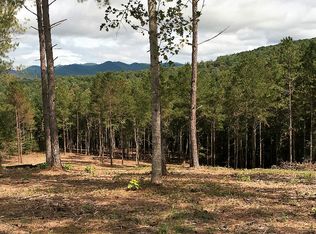 LT330 1300th, Blairsville, GA 30512