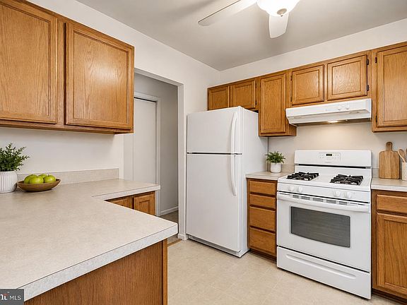 3rd image of 447 Dogwood Dr