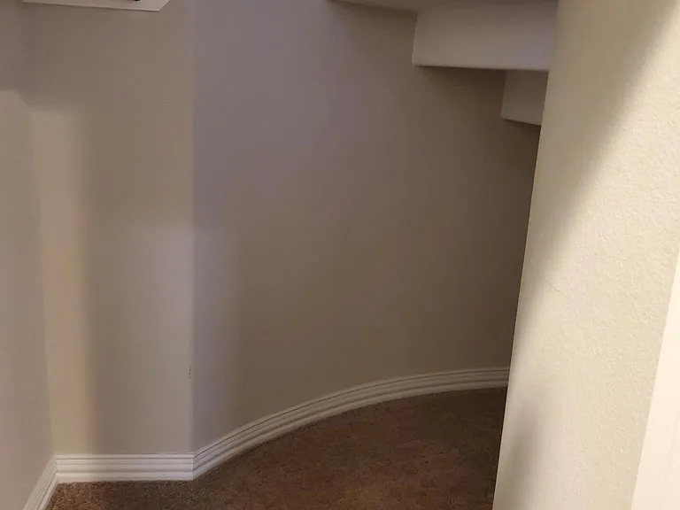 Hall Closet Under Stairs