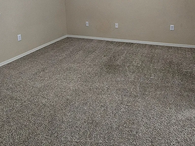 1385 W University Ave #17-155 — Photo 7