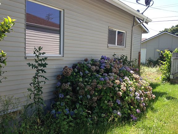 3rd image of 955 Kalmia St