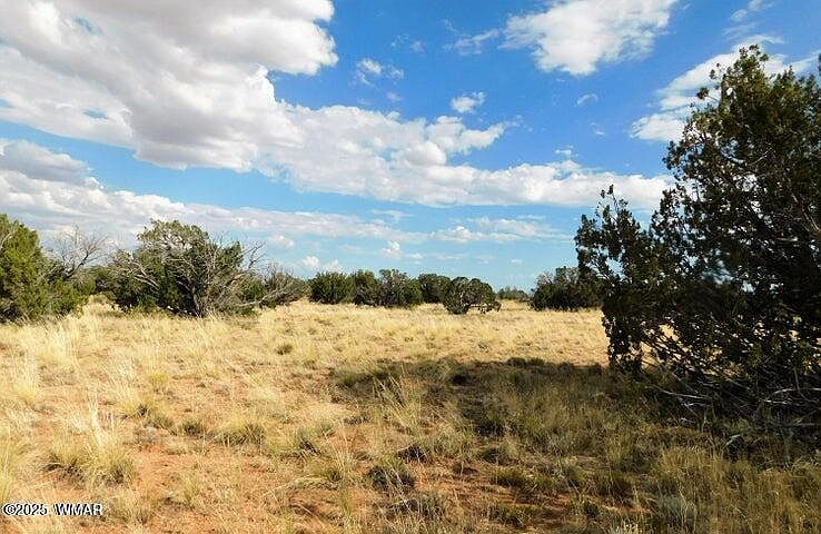 1st image of LOT 438 Chevelon Canyon Dr