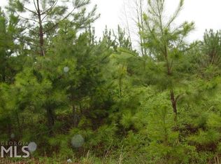 14 Phillips Cv, Hiawassee, GA 30546