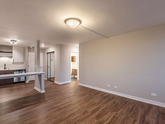 Park Michigan Renovated Unit - Living and Kitchen
