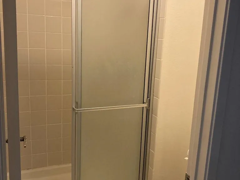 Master Bedroom Shower