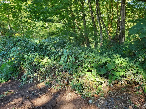 Hillcrest Dr, Scappoose, OR 97056