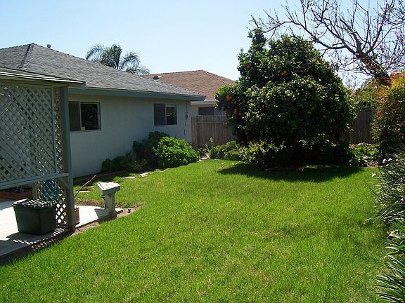 large yard with fruit trees 