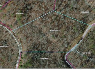 LOT H5 Platinum Rd, Tuckasegee, NC 28783