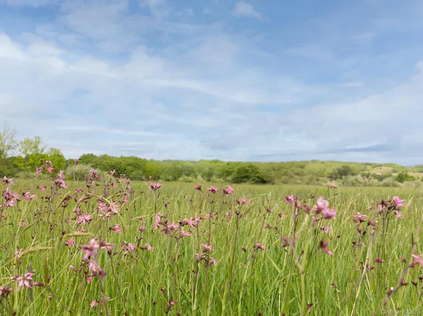 00 Beechwoods Road, Callicoon, NY 12723