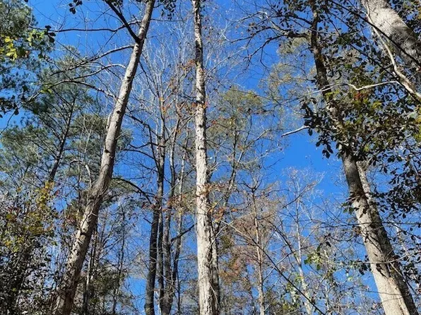 LOT Pineville Rd #B, Buena Vista, GA 31803