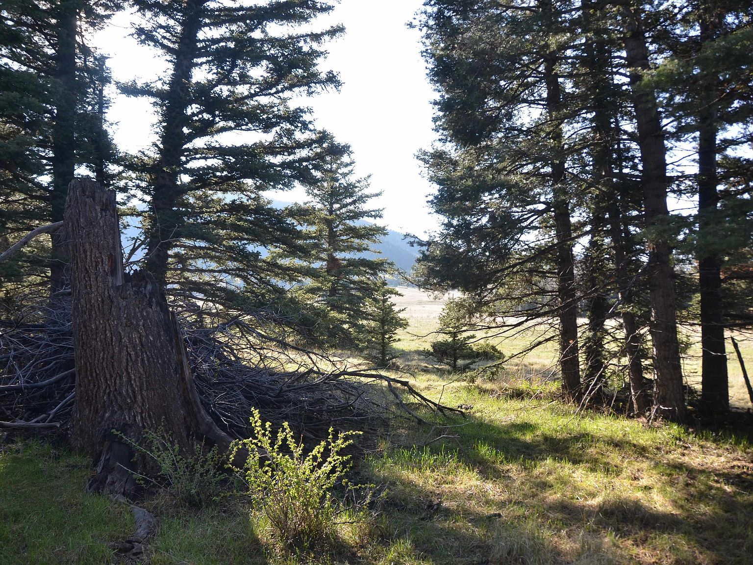 82 Elk Mdw, Angel Fire, NM 87710 MLS 110238 Zillow