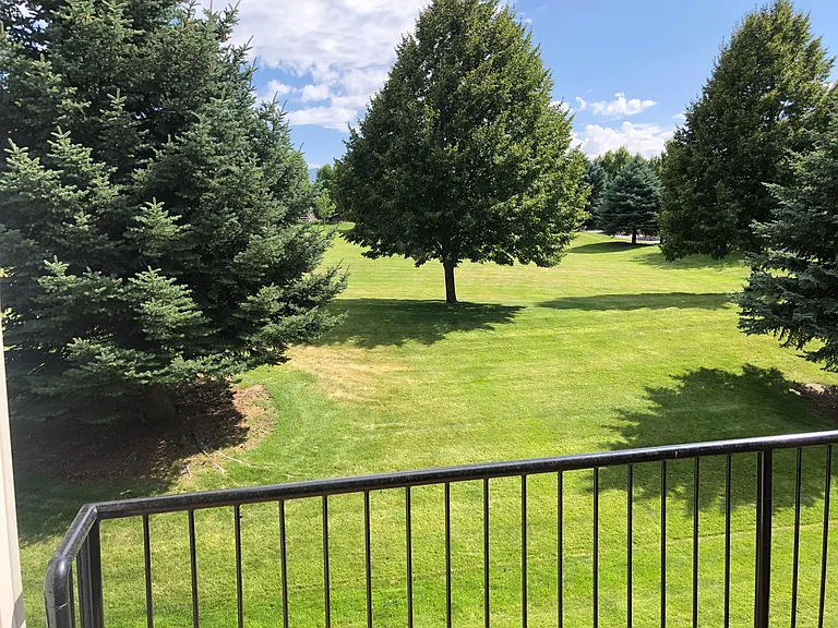 view from deck