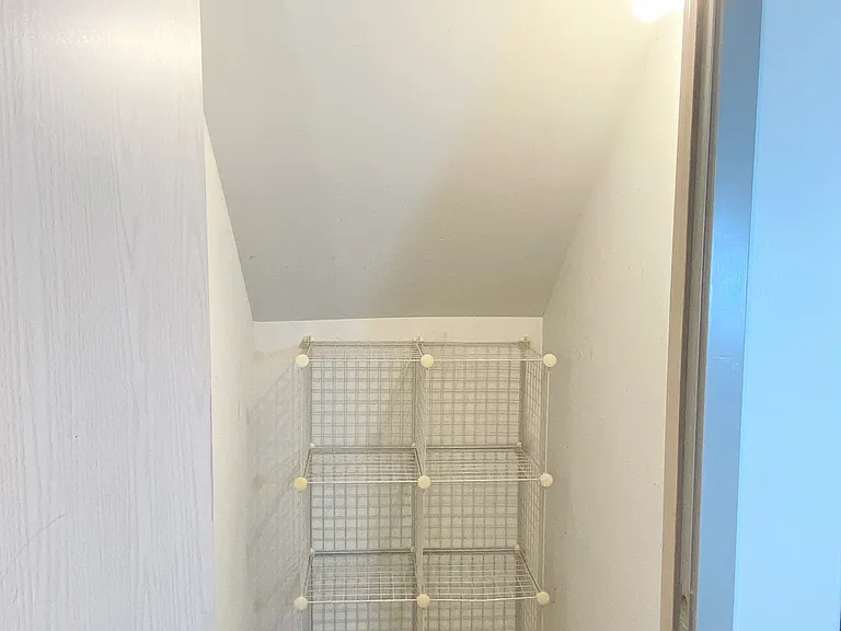 Spandrel (Closet under Stairs)