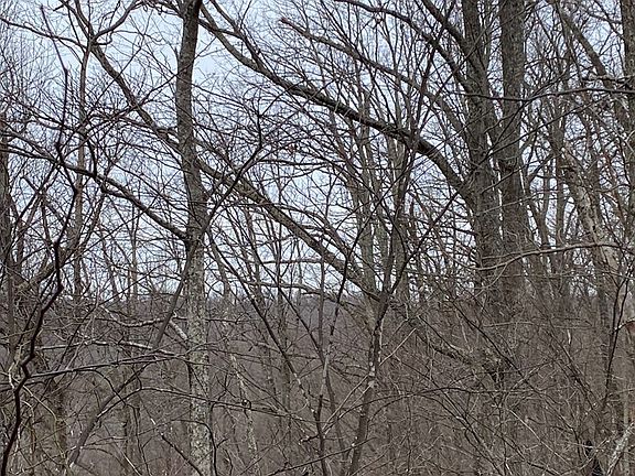 3rd image of 0 Alsept Fork Rd