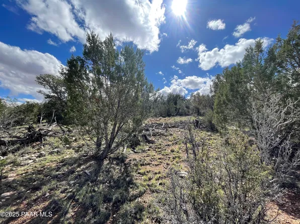 54413 N Thunderbird Ln, Seligman, AZ 86337