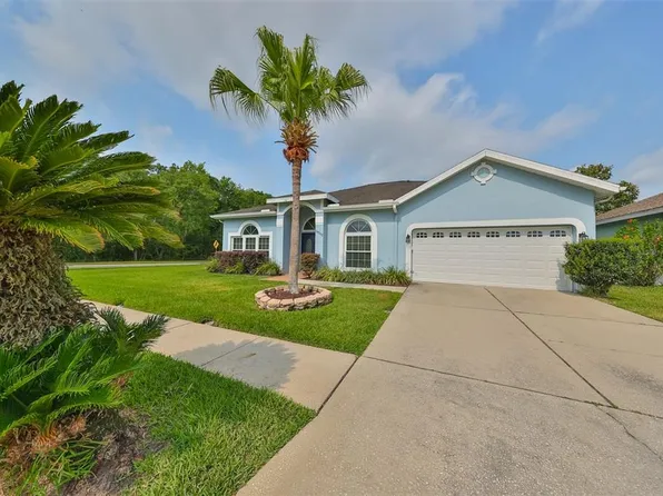 18502 Ambly Ln, Tampa, FL 33647