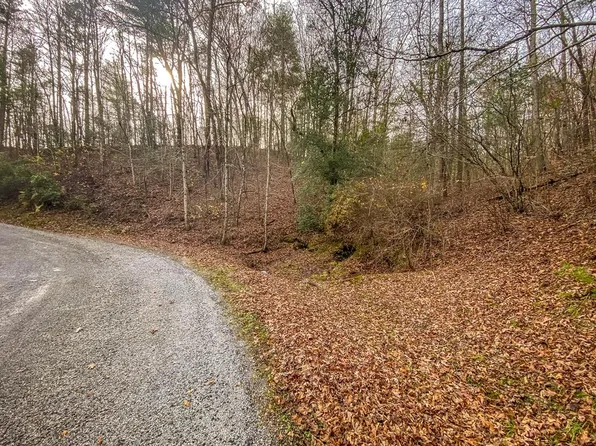 61 Bmw Dr, Ellijay, GA 30540