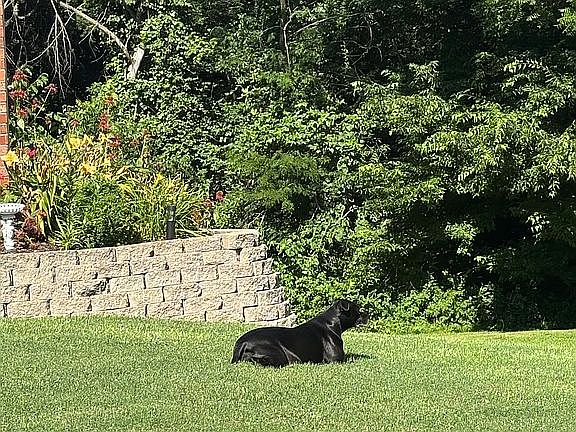 3rd image of 241 NW 66th Rd