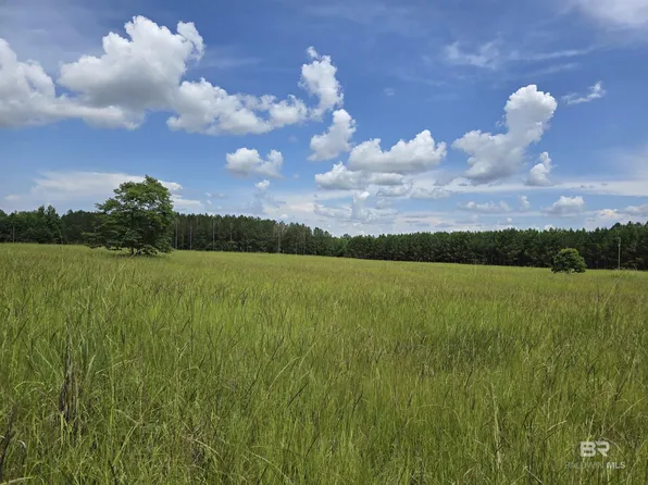 0 Langham Rd, Repton, AL 36475