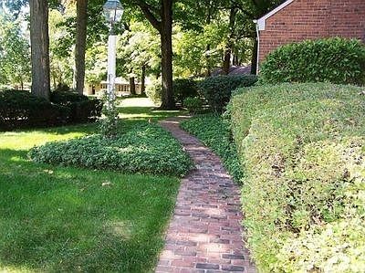 4th image of 359 Carlyle Cir