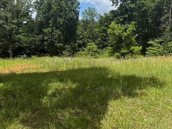 LOT 2 Pig Rd, Smiths Grove, KY 42171