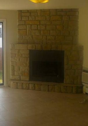 Wood Burning Fireplace