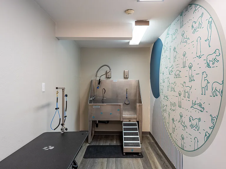 Alder Bellevue — Photo 23