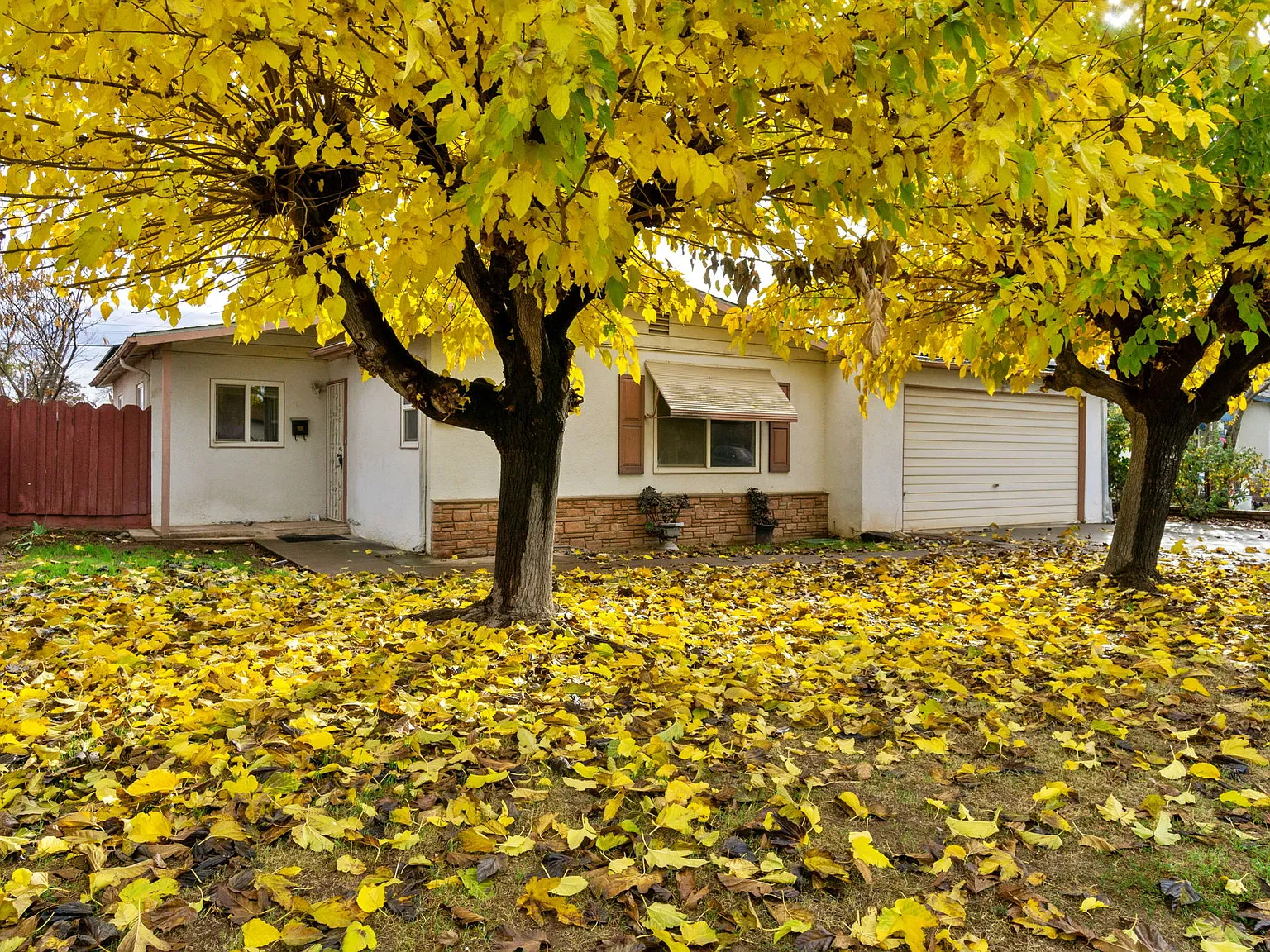 3 bed, 1024 sqft, $1,950 — Photo 2