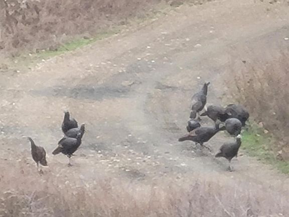 5th image of 0 State Highway 7 S