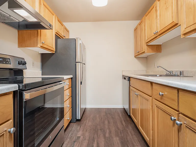 Modern galley kitchen featuring stainless steel appliances, light wood cabinetry, and dark hardwood floors. Modern galley kitchen featuring stainless steel appliances, light wood cabinetry, and dark hardwood floors.